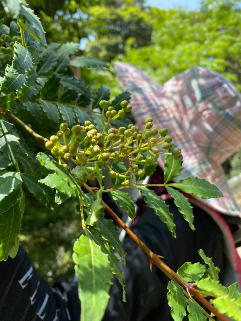 ツキイチ登山会